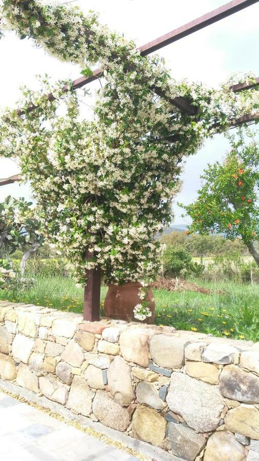 Bed and Breakfast Casale Diletta Castiadas Exterior foto